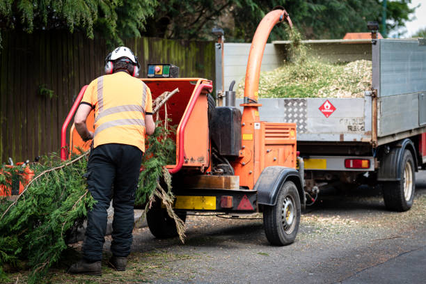 Organic Lawn Care Solutions in Lake Hopatcong, NJ