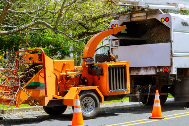 How Our Tree Care Process Works  in  Lake Hopatcong, NJ