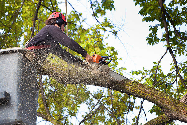 Soil Testing and Treatment in Lake Hopatcong, NJ